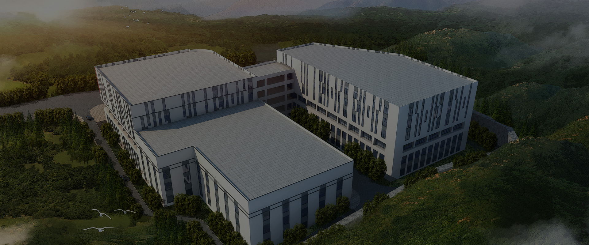 ���_���������ò��������I����